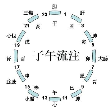 中医基础（24）：十二时辰与十二经络（午时）