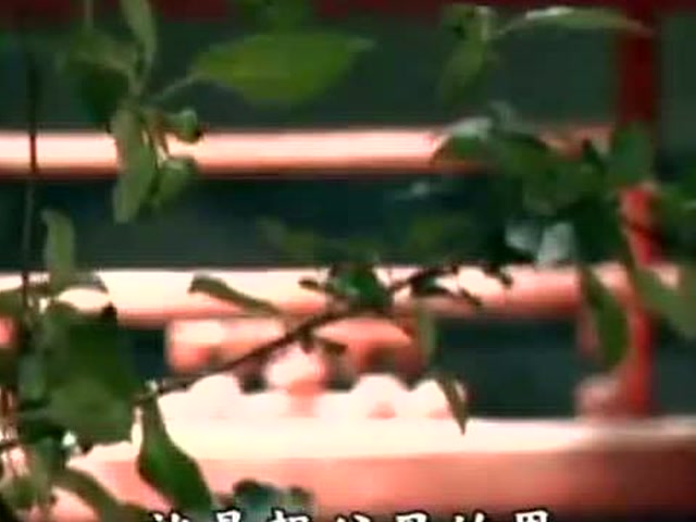 陈大惠-【圣贤教育 改变命运】07.愧对先祖的问题