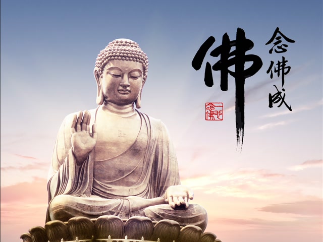 念佛人要学善财童子  老法师