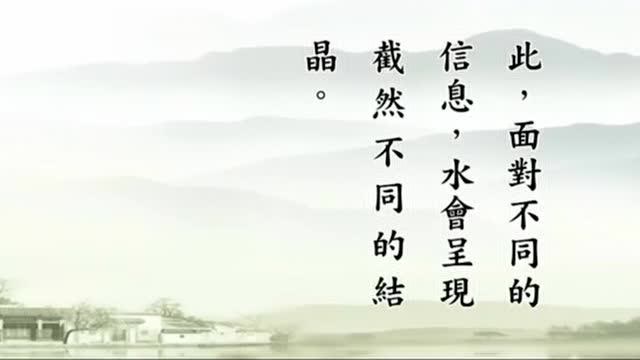 《整个宇宙动态：水知道》香港冬至祭祖系念法会