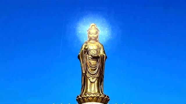 南无观世音菩萨 佛号 大慈大悲 观世音菩萨