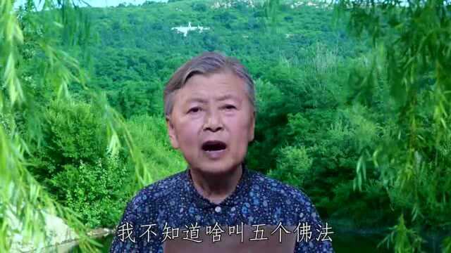 刘素云老师：请问五个佛法是正法吗？2020.7