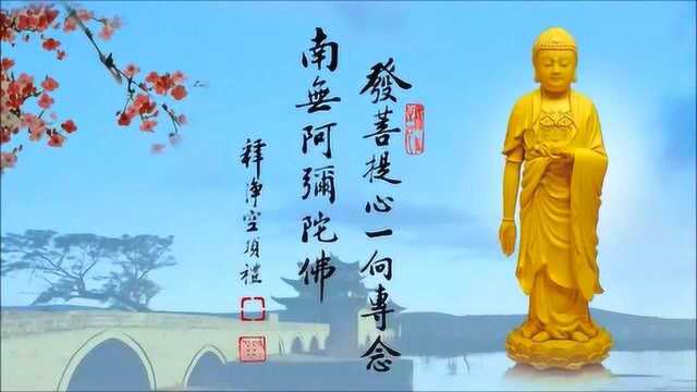 赞佛偈佛号【南无阿弥陀佛】(华藏版）