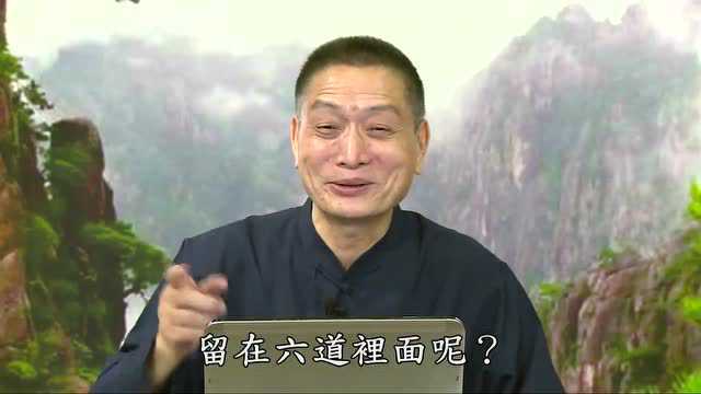 【黄警官讲故事】败人苗稼的现代含义 彰显因果教育重要性