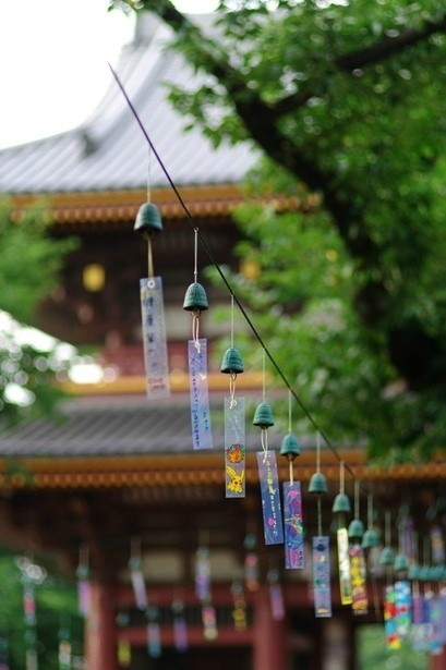 汉传佛教的相对弱势是因为在教理和修行方法上不如藏传佛教究竟圆满，您怎么看待这种说法？