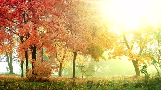 潜意识对话 放下不必要回忆