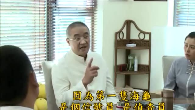 胡小林老师：不要制造因缘-救海龟的故事