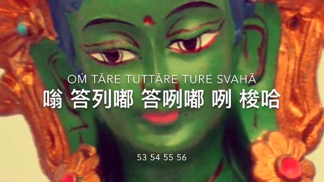 绿度母心咒 108 遍