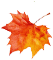 枫叶