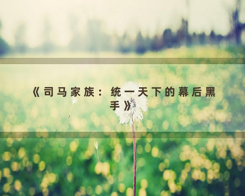 《司马家族：统一天下的幕后黑手》