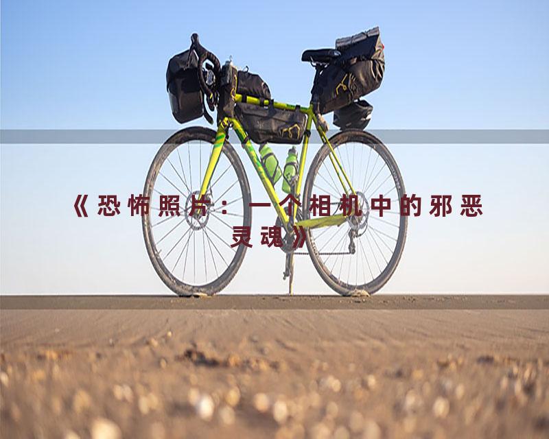 《恐怖照片：一个相机中的邪恶灵魂》