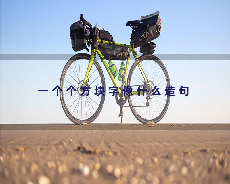 一个个方块字像什么造句