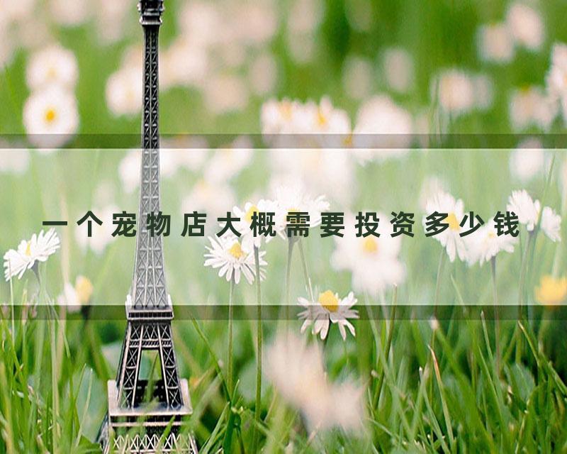一个宠物店大概需要投资多少钱
