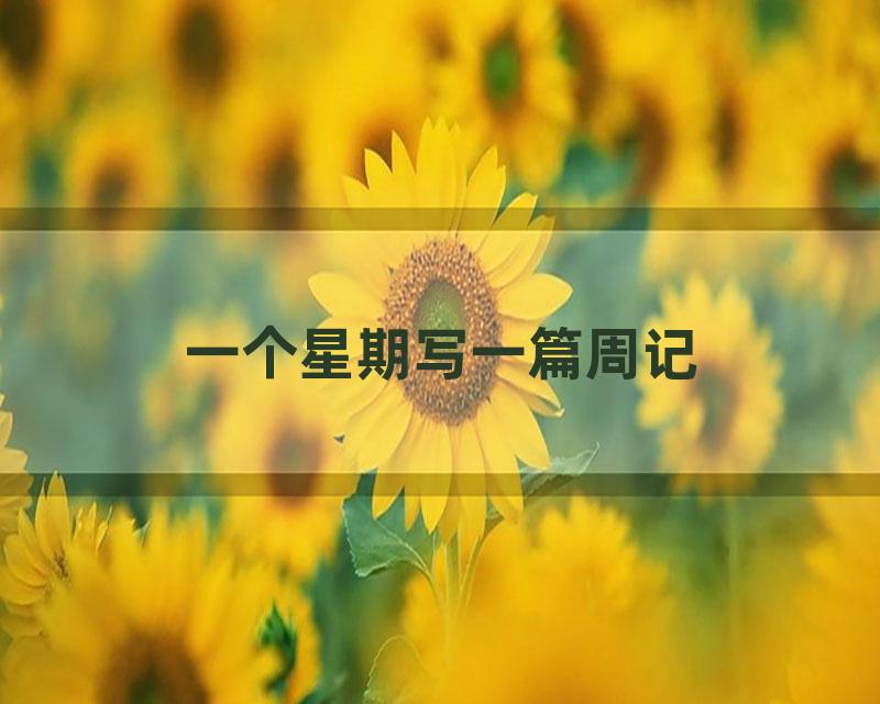 一个星期写一篇周记