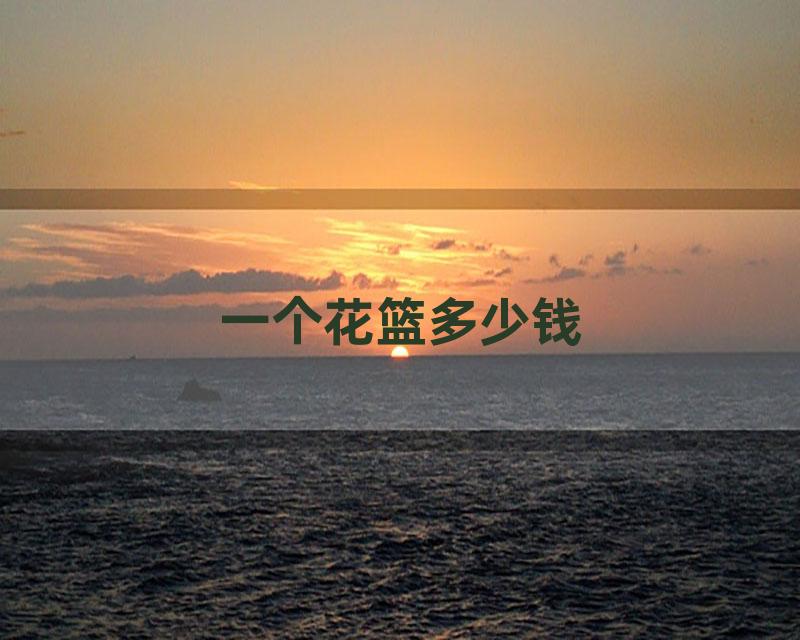 一个花篮多少钱