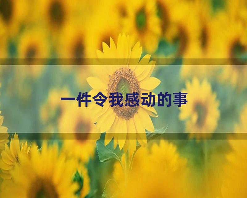 一件令我感动的事