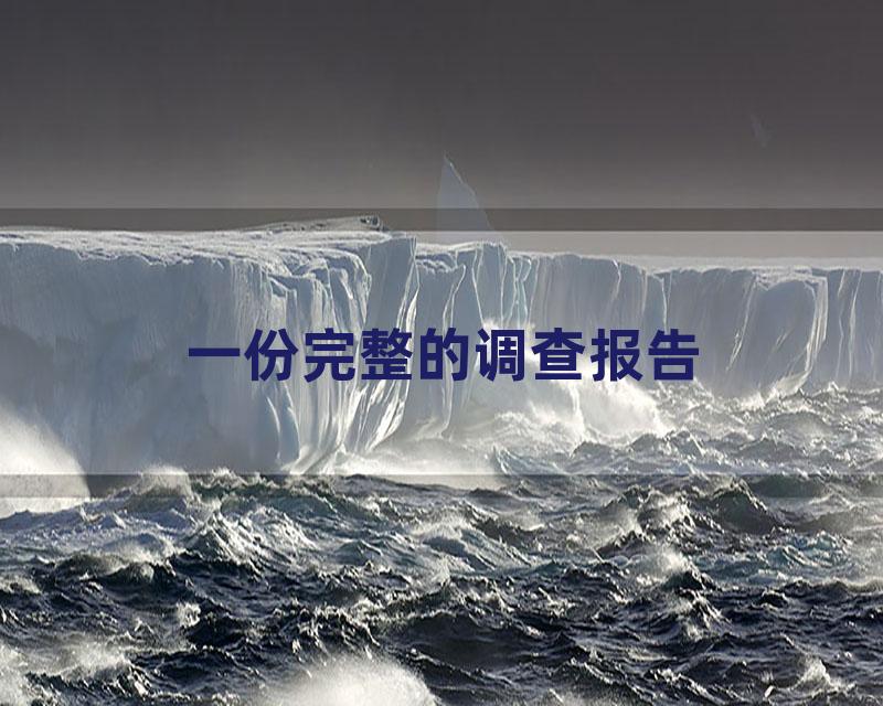 一份完整的调查报告