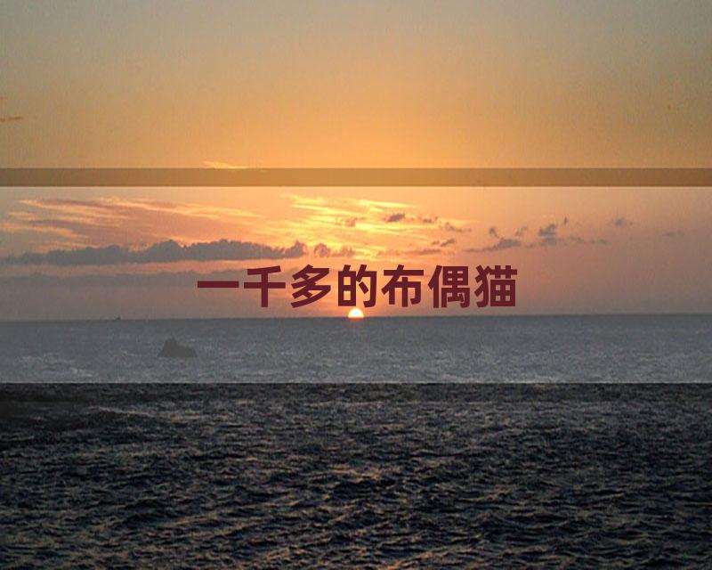 一千多的布偶猫