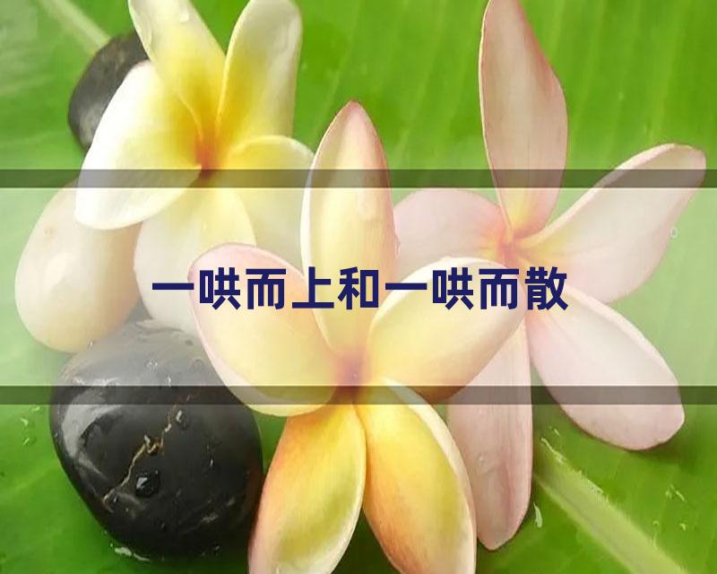 一哄而上和一哄而散