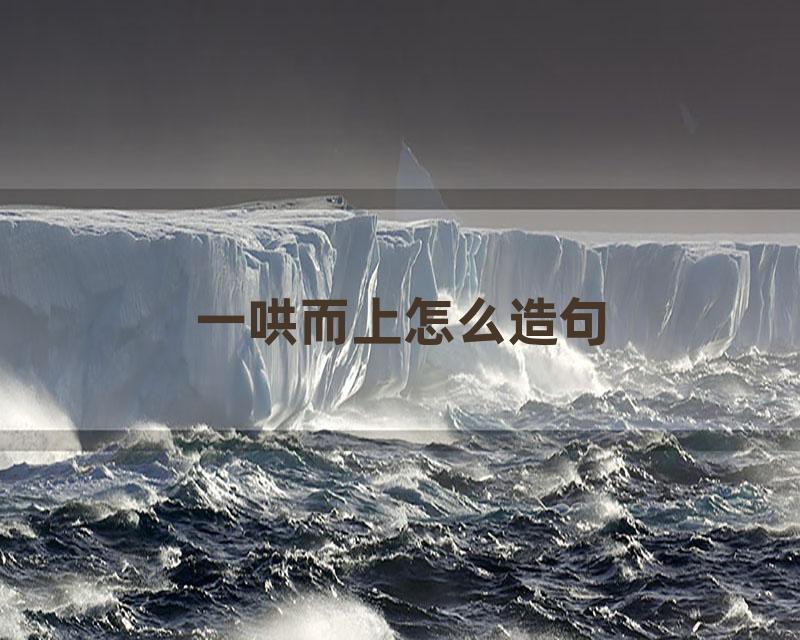 一哄而上怎么造句