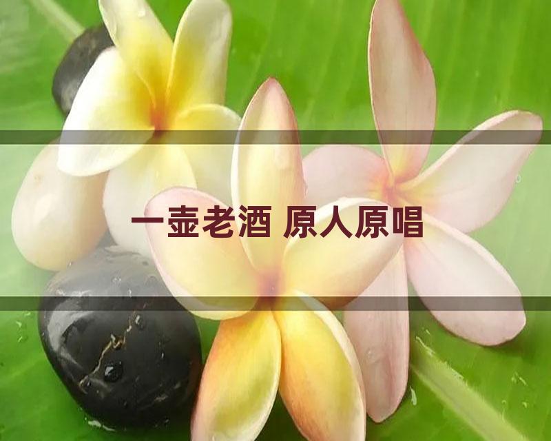 一壶老酒 原人原唱