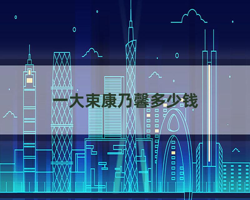 一大束康乃馨多少钱