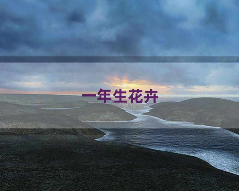 一年生花卉