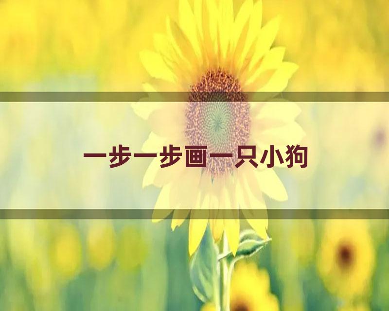 一步一步画一只小狗