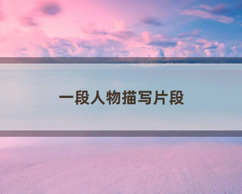 一段人物描写片段