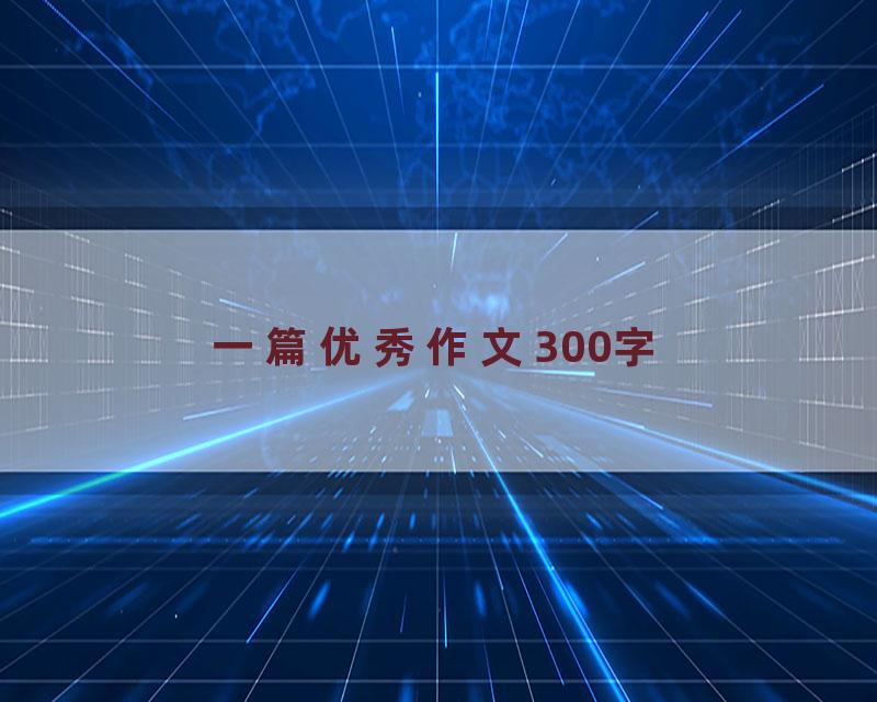 一篇优秀作文300字