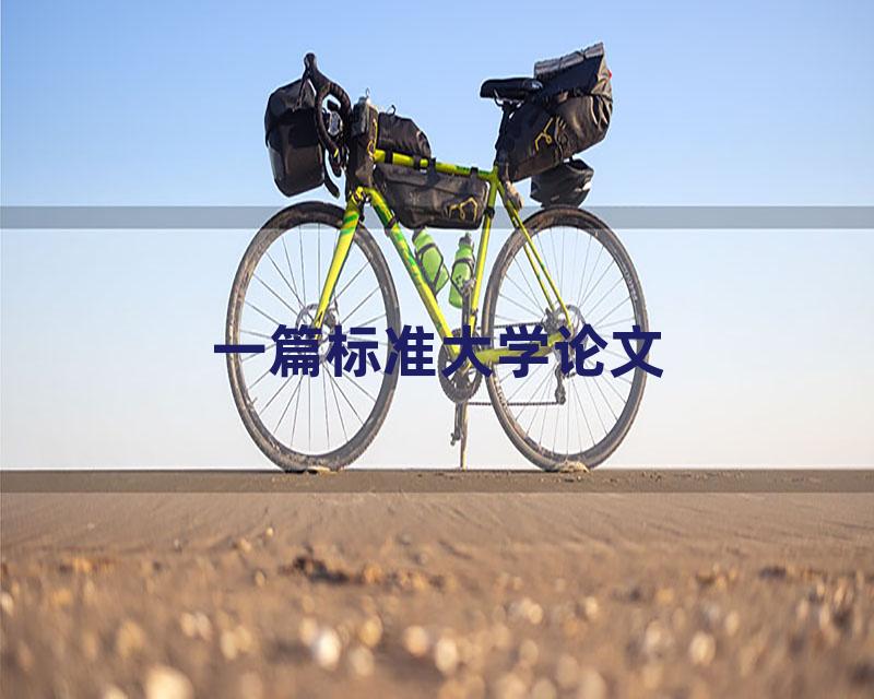 一篇标准大学论文