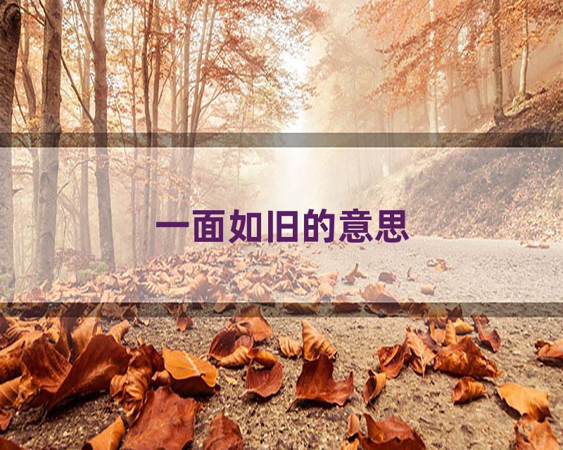 一面如旧的意思