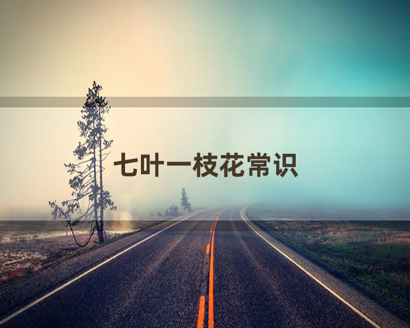 七叶一枝花常识