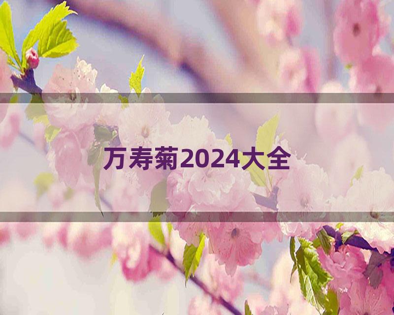 万寿菊2024大全