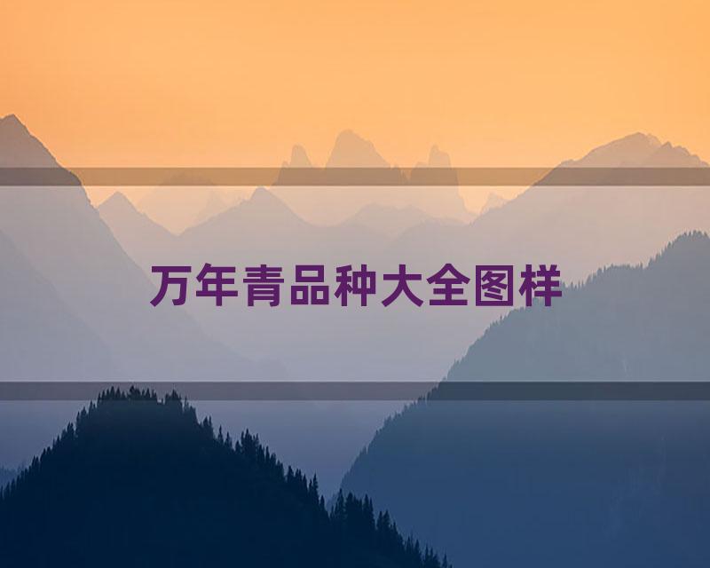 万年青品种大全图样