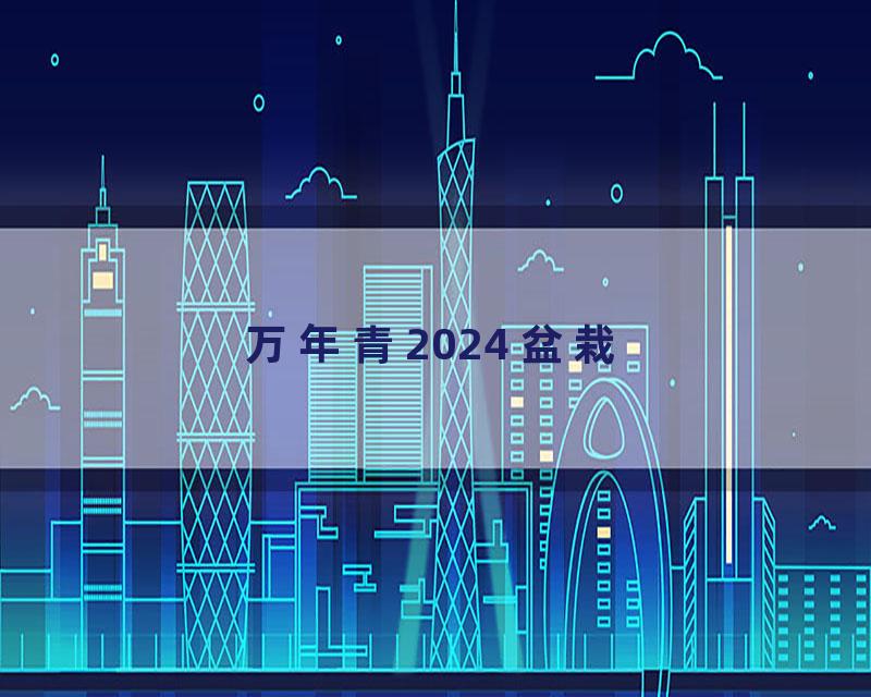 万年青2024 盆栽