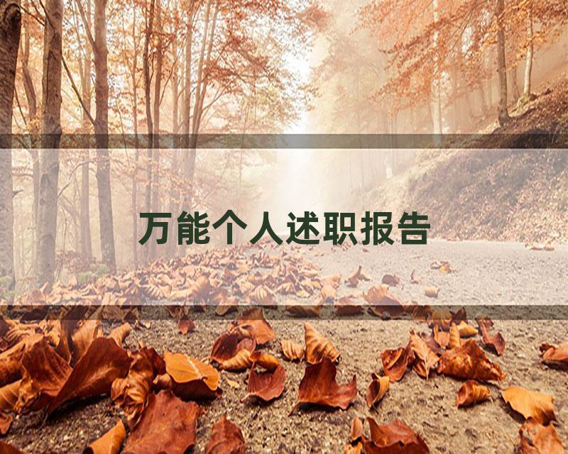 万能个人述职报告