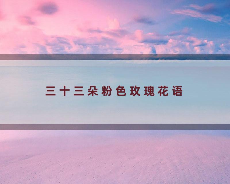 三十三朵粉色玫瑰花语
