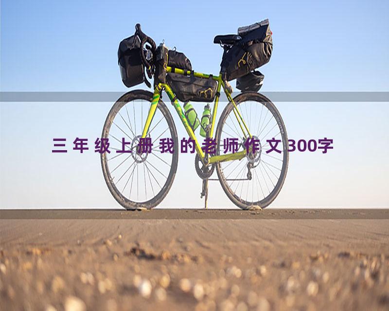 三年级上册我的老师作文300字