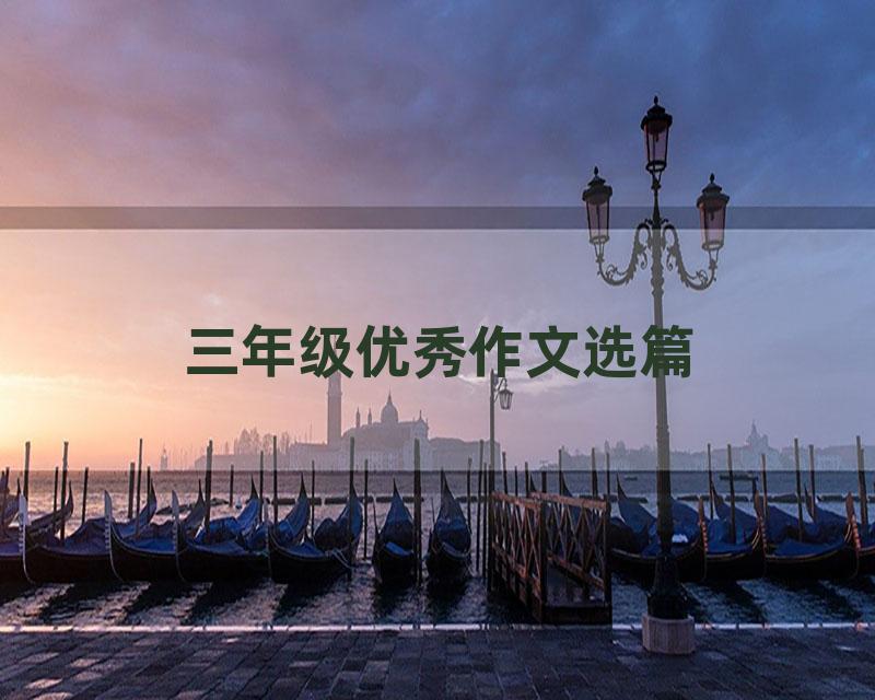 三年级优秀作文选篇