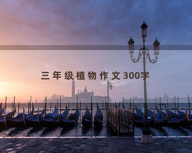 三年级植物作文300字