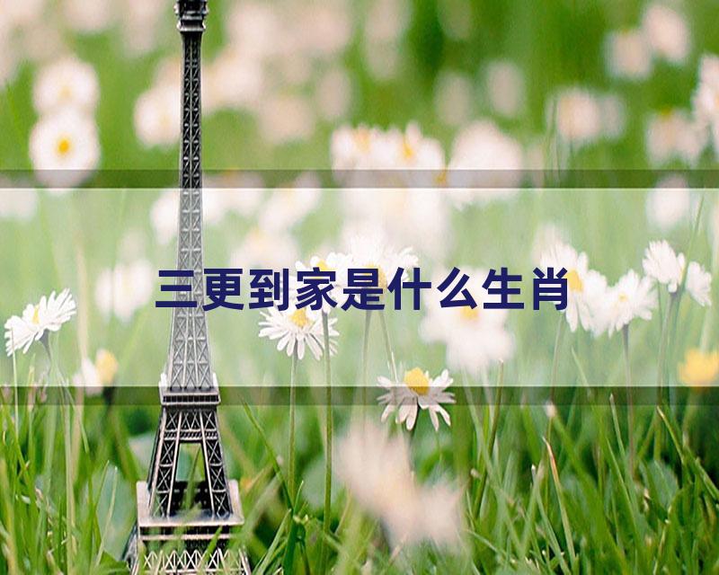 三更到家是什么生肖