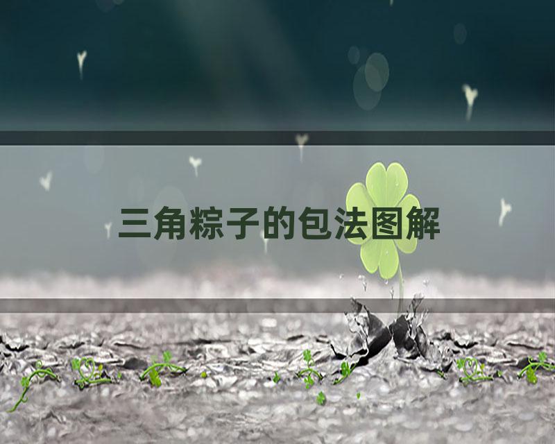 三角粽子的包法图解