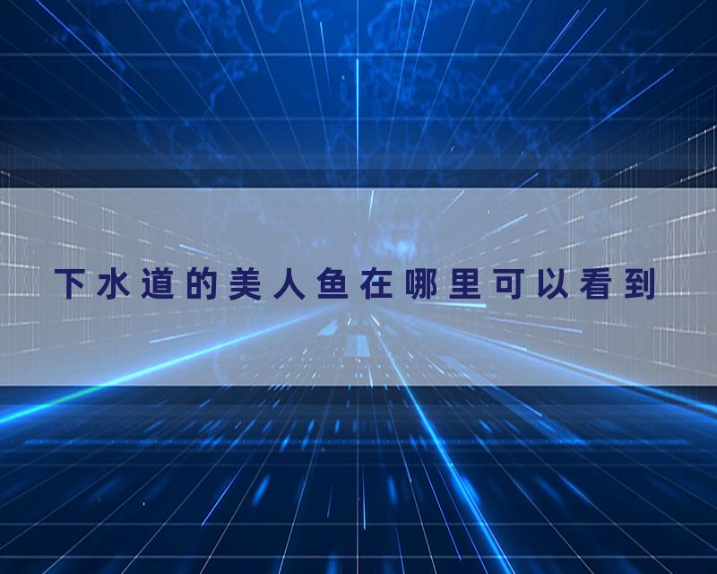 下水道的美人鱼在哪里可以看到