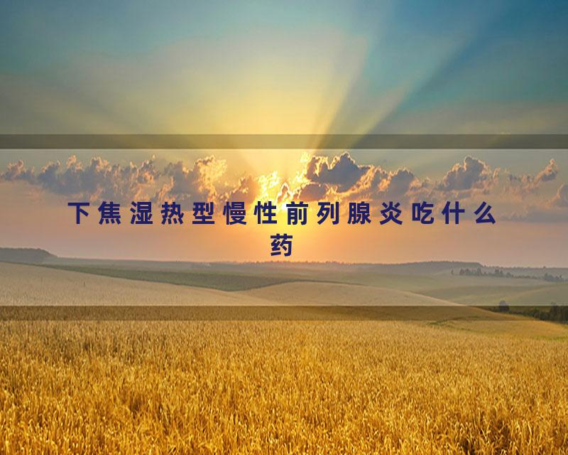 下焦湿热型慢性前列腺炎吃什么药
