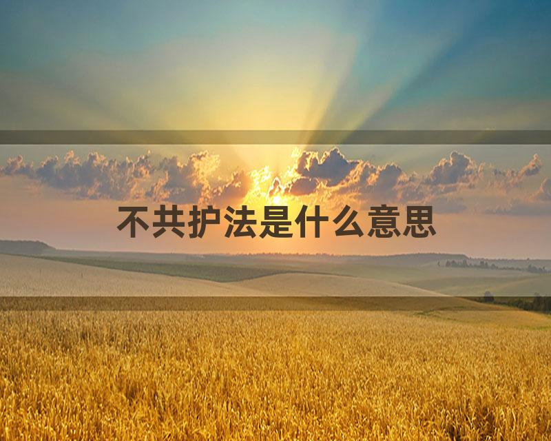 不共护法是什么意思