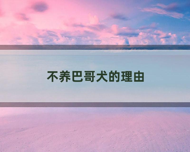 不养巴哥犬的理由