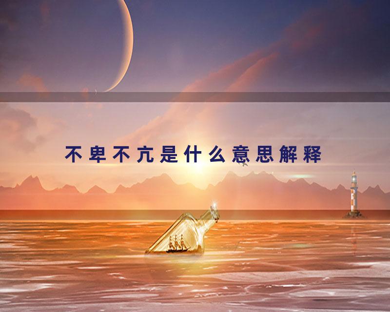 不卑不亢是什么意思解释