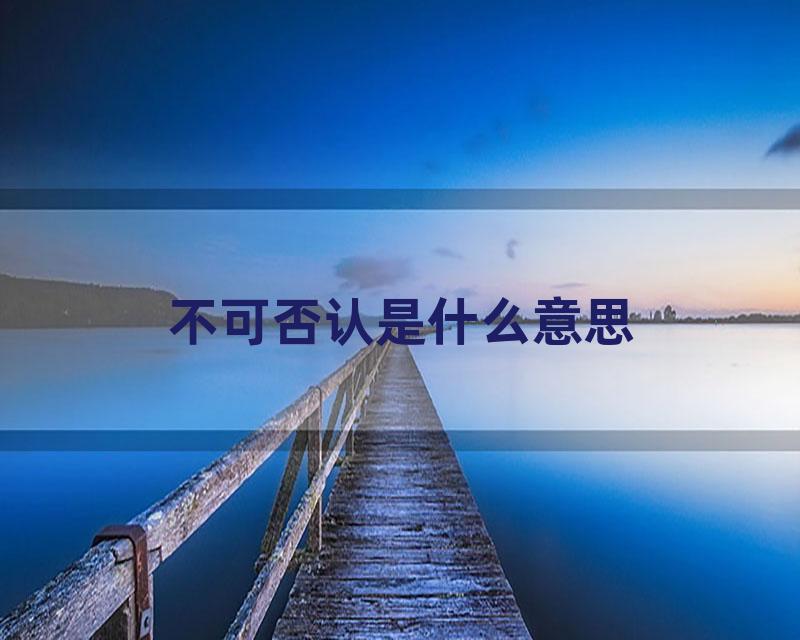 不可否认是什么意思