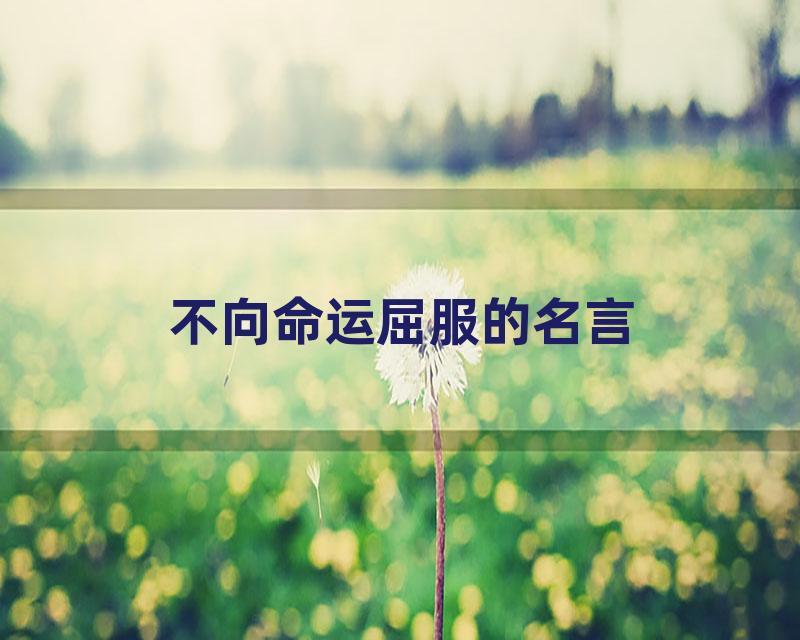 不向命运屈服的名言